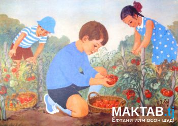 Шараф аз меҳнат аст