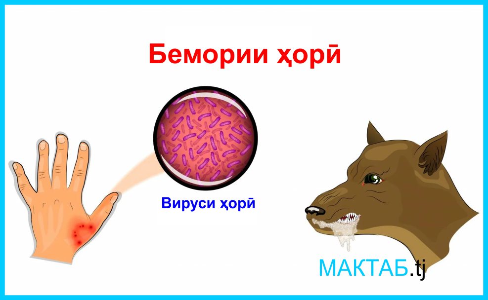 Бемории ҳорӣ